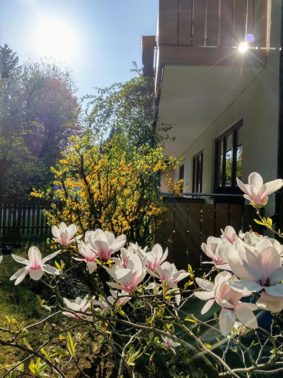 Hotel Am Wald Отобрун Екстериор снимка